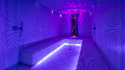 Sauna cu aburi